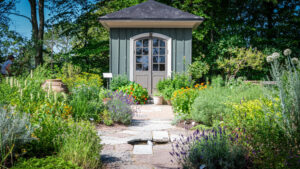 Örtagården i Botaniska i Göteborg